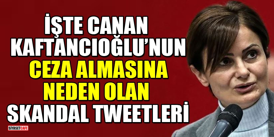İşte Kaftancıoğlu'nun ceza almasına neden olan skandal tweetleri 1