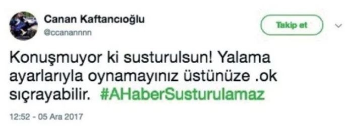 İşte Kaftancıoğlu'nun ceza almasına neden olan skandal tweetleri 4