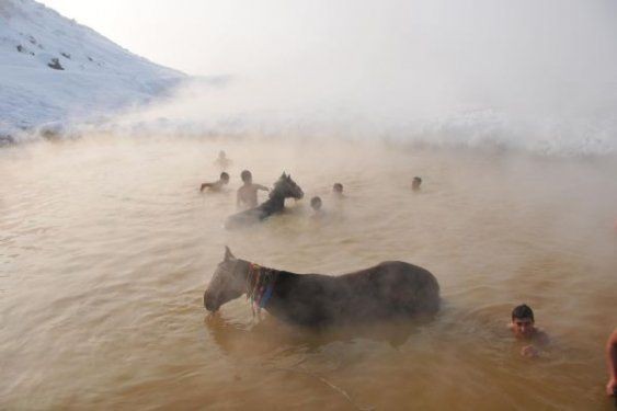 Muş'ta atlarıyla birlikte yıkanıyor 2