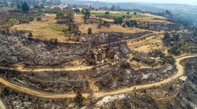 Orman yangınları geride acı manzaralar bıraktı 14