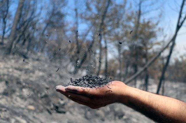 Orman yangınları geride acı manzaralar bıraktı 7
