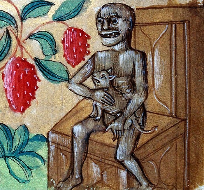 Ortaçağ ressamlarından korkutucu kedi figürleri 2