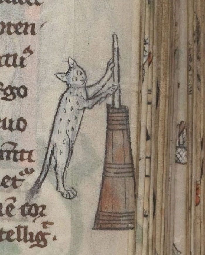 Ortaçağ ressamlarından korkutucu kedi figürleri 3