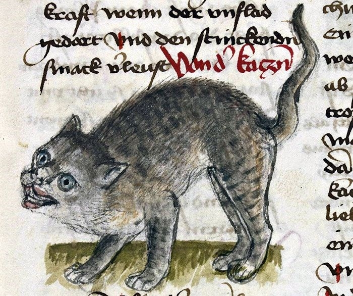 Ortaçağ ressamlarından korkutucu kedi figürleri 36