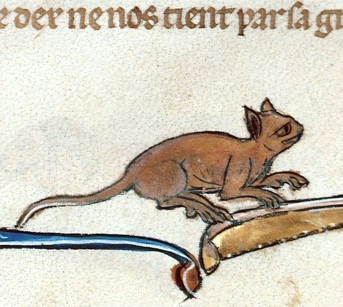 Ortaçağ ressamlarından korkutucu kedi figürleri 4
