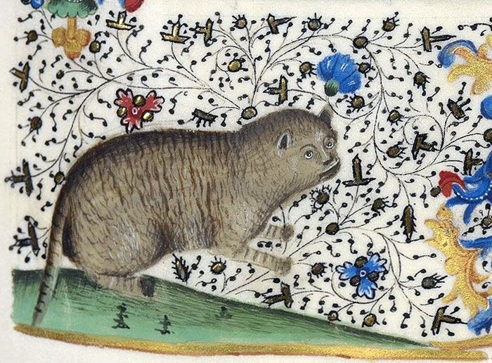 Ortaçağ ressamlarından korkutucu kedi figürleri 7