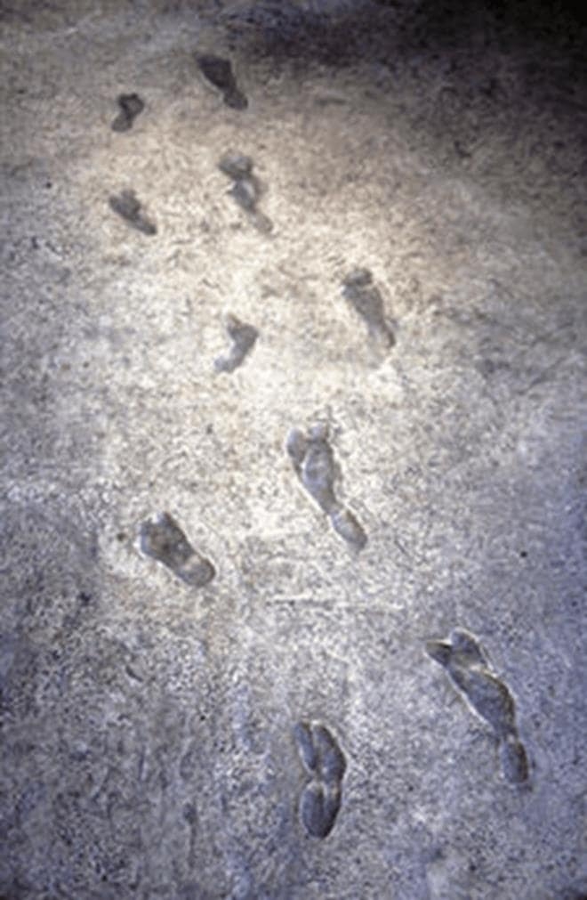 İnsanlığa ait bilinen en eski ayak izi keşfedildi! 4