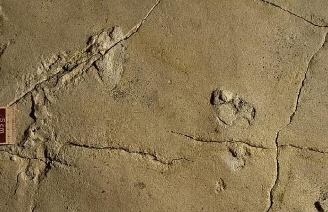 İnsanlığa ait bilinen en eski ayak izi keşfedildi! 9