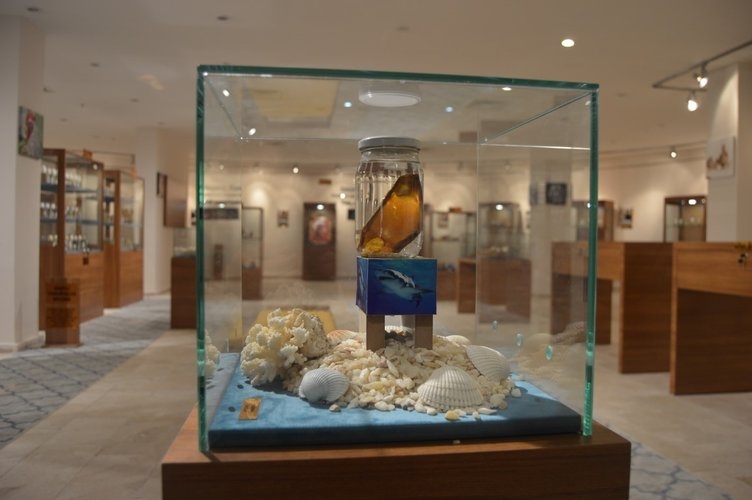 Türkiye’de bir ilk! “Yumurta Müzesi” açılıyor 15