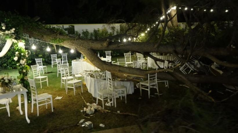 Düğünde ağaç devrildi: 12 kişi yaralandı 1