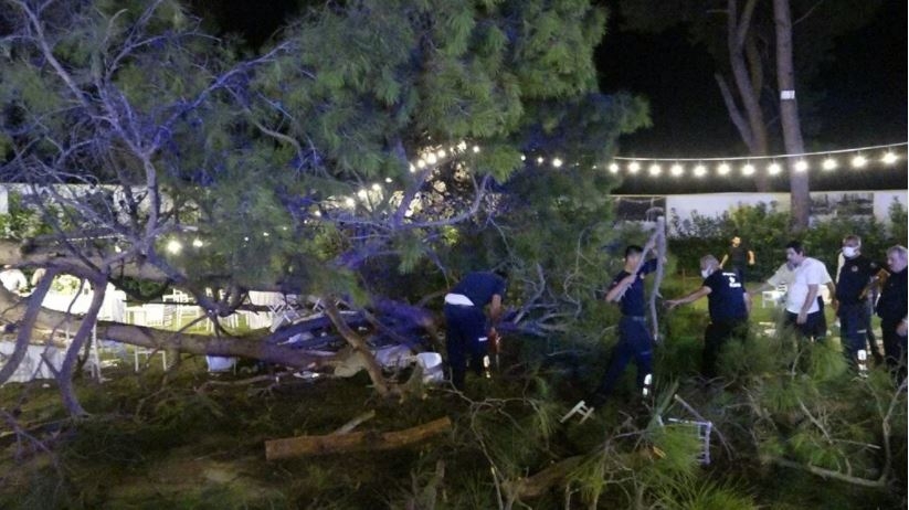 Düğünde ağaç devrildi: 12 kişi yaralandı 2
