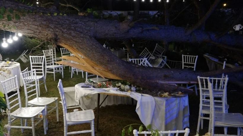 Düğünde ağaç devrildi: 12 kişi yaralandı 5