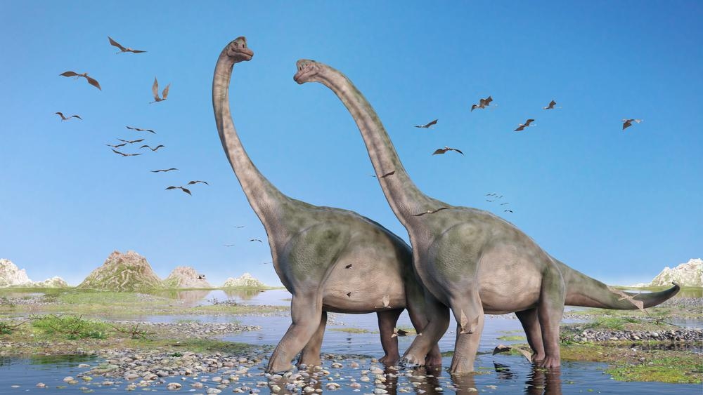140 milyon yıllık dinozor ayak izi bulundu 1