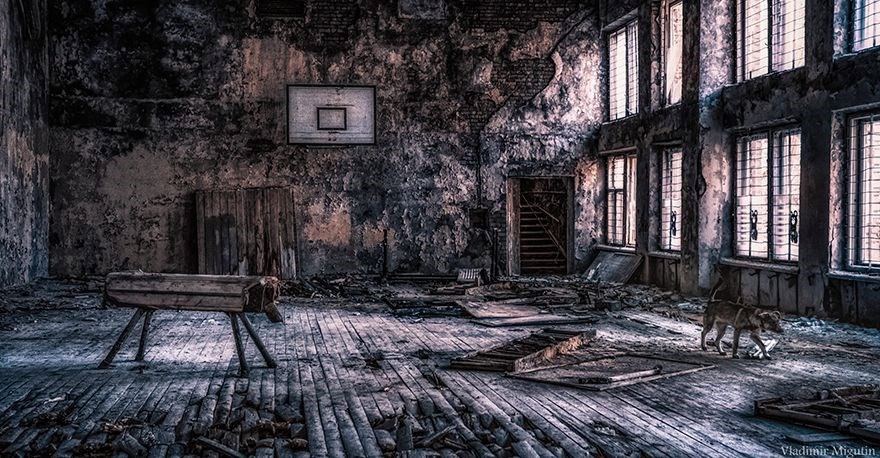 Faciadan 33 Yıl Sonra Çernobil Manzaraları 10
