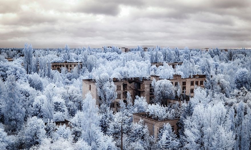 Faciadan 33 Yıl Sonra Çernobil Manzaraları 6