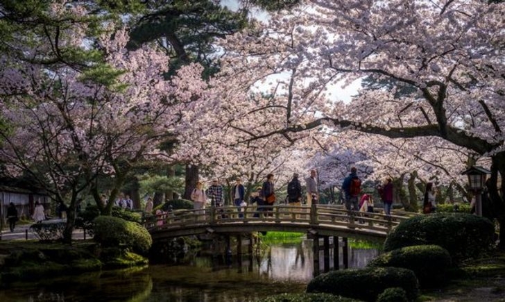 Sakura Sevenlerin Buluşma Noktaları Nereleri? 4