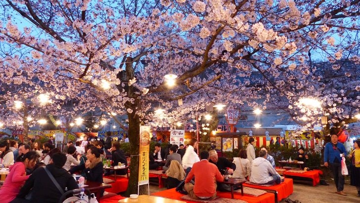Sakura Sevenlerin Buluşma Noktaları Nereleri? 8