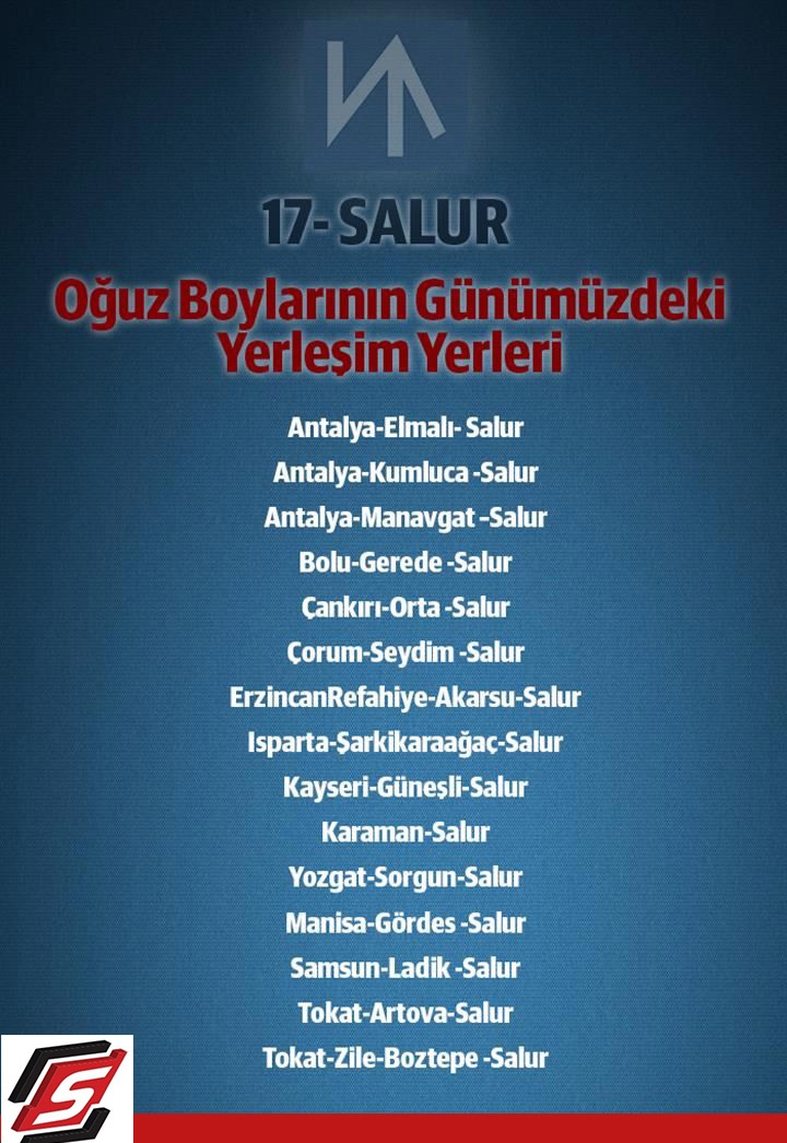Sen hangi Türk boyundan geliyorsun? Tıkla öğren 22