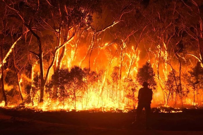 Avustralya'daki yangın görüntüleri hafızalardan yıllarca çıkmayacak 11
