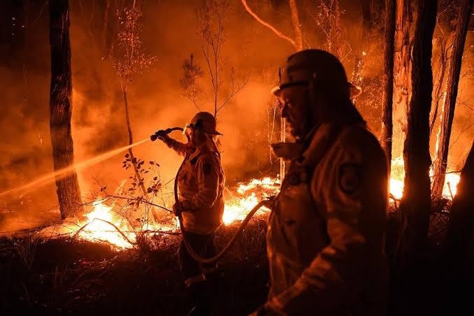Avustralya'daki yangın görüntüleri hafızalardan yıllarca çıkmayacak 17