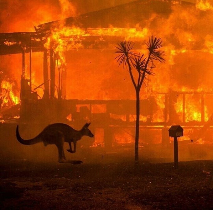 Avustralya'daki yangın görüntüleri hafızalardan yıllarca çıkmayacak 7