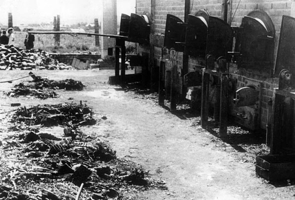 İnsanlığın bittiği yer; Auschwitz Toplama Kampı 7
