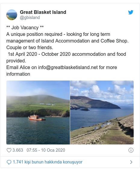 İrlanda'daki bu adada çalışacak her ülkeden personel aranıyor 8
