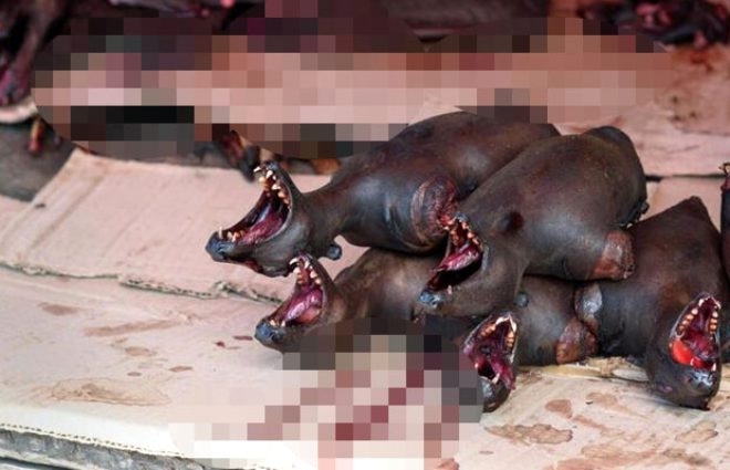 Canlı hayvanların kaynatıldığı hayvan pazarında Korona Virüsü tehlikesi 5