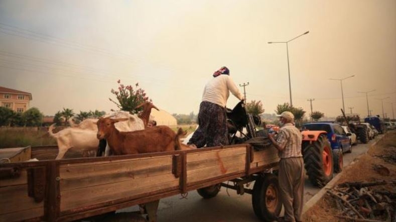 Manavgat yangınından çarpıcı fotoğraflar 11