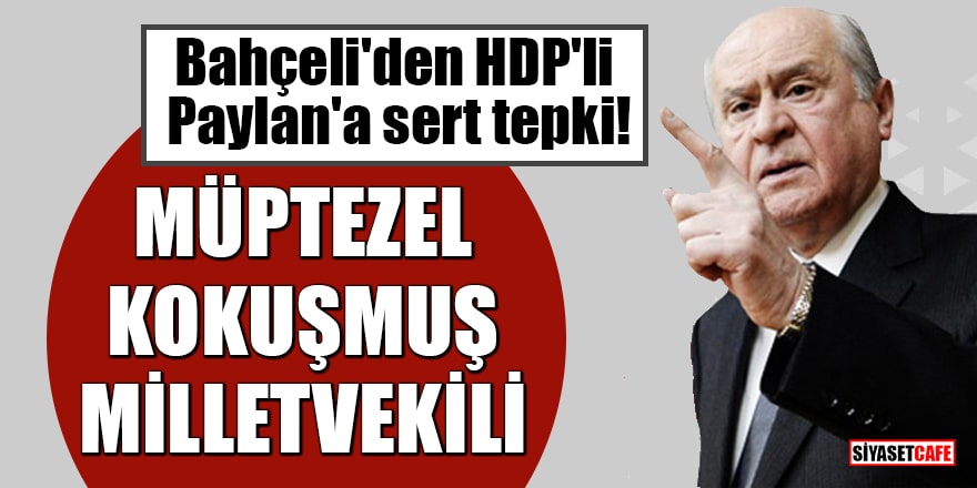 Bahçeli'den HDP'li Paylan'a sert tepki: Müptezel kokuşmuş milletvekili!
