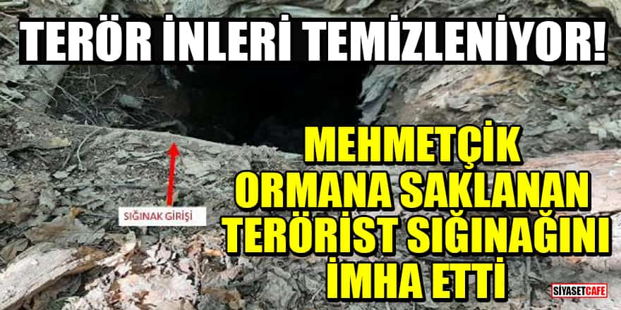 Mehmetçik, ormana saklanan terörist sığınağını imha etti