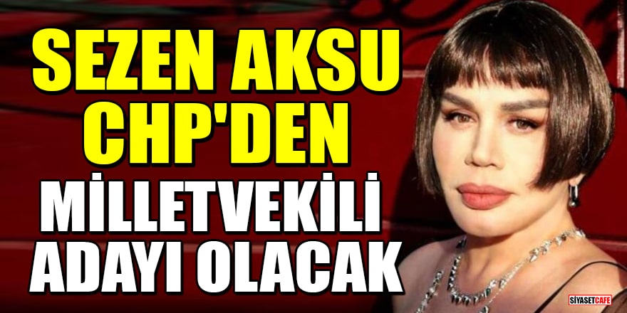 Sezen Aksu CHP'den milletvekili adayı olacak