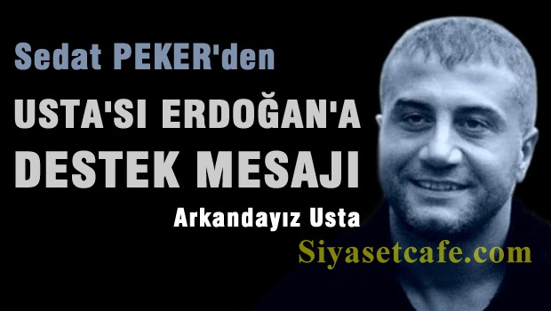 Sedat Peker'den Erdoğan'a destek mesajı!