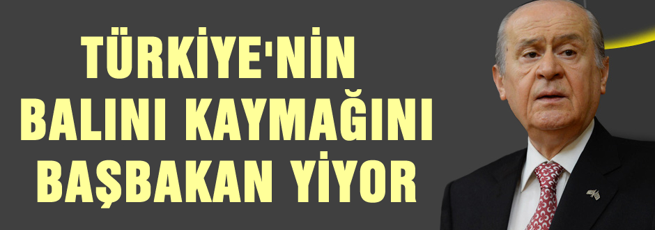 Türkiye'nin balını kaymağını Başbakan yiyor