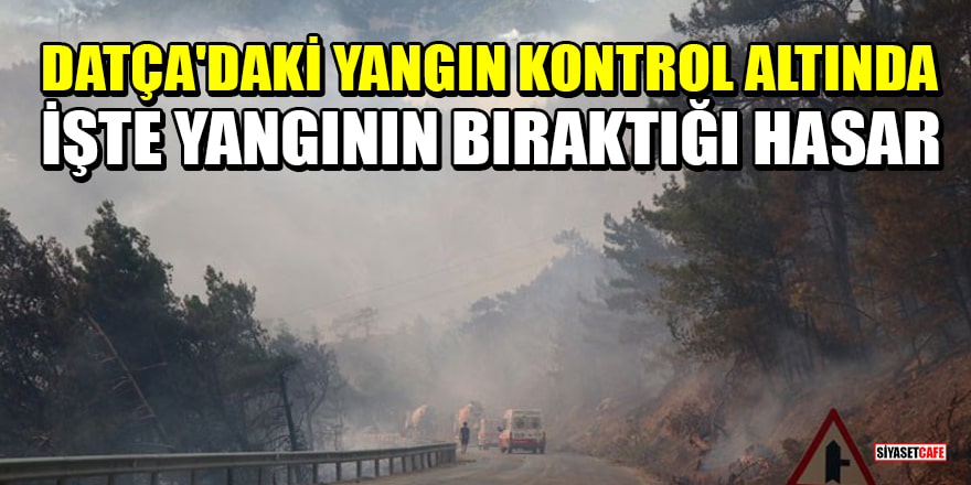 Bakan Kirişci duyurdu! Datça'daki orman yangını kontrol altına alındı: İşte yangının bıraktığı hasar