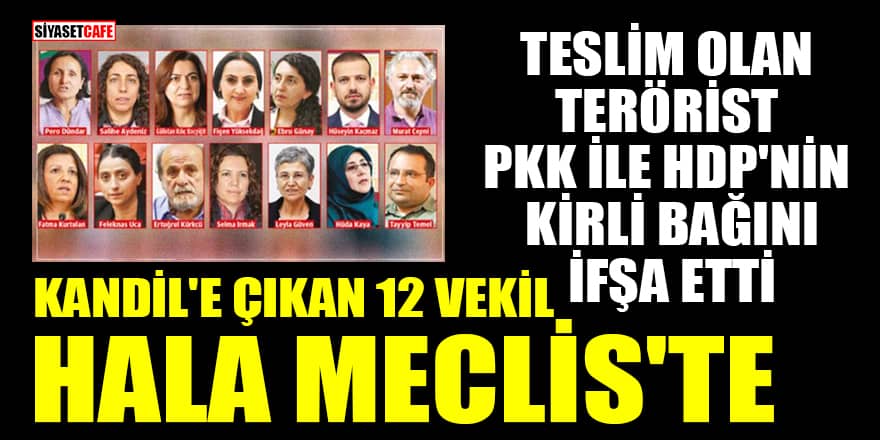 Teslim olan terörist PKK ile HDP'nin kirli bağını ifşa etti: Kandil'e çıkan 12 vekil hala Meclis'te