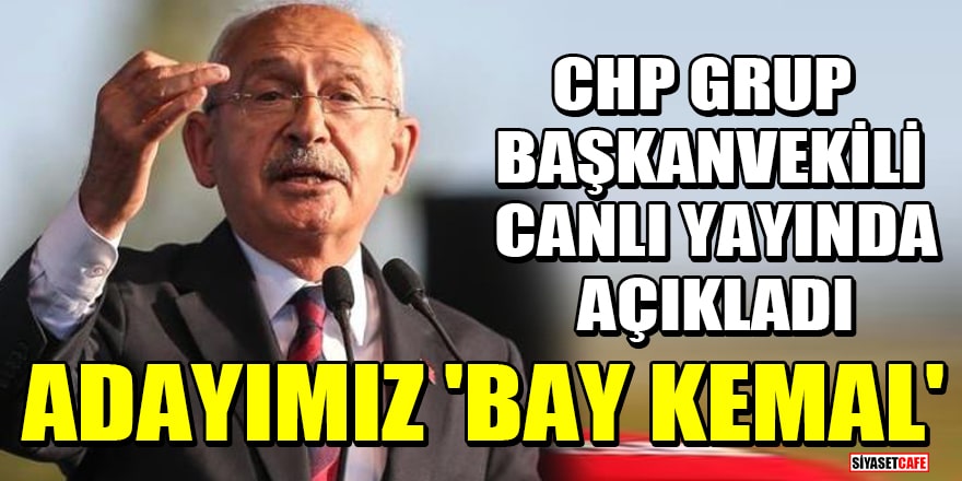 CHP Grup Başkanvekili Engin Altay açıkladı: Adayımız 'Bay Kemal'