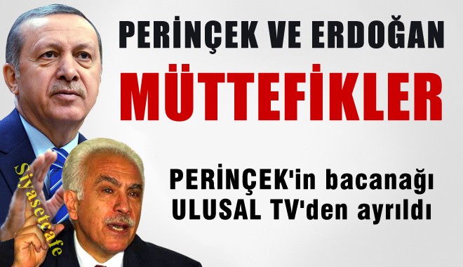 Perinçek, Erdoğan'la saf tutuyor