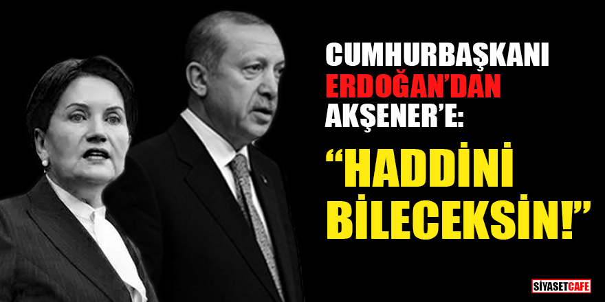 Cumhurbaşkanı Erdoğan'dan Akşener'e 'Haddini bileceksin' tepkisi