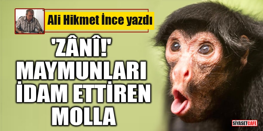 Ali Hikmet İnce yazdı: 'Zânî!' maymunları idam ettiren molla