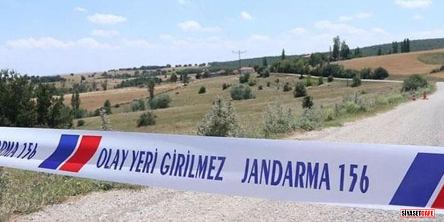 Tunceli'de kuduz paniği! Bir köyde karantina başlatıldı