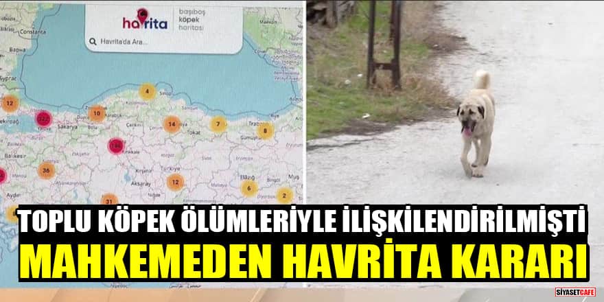 Mahkemeden toplu köpek ölümleriyle ilişkilendirilen Havrita sitesiyle ilgili flaş karar