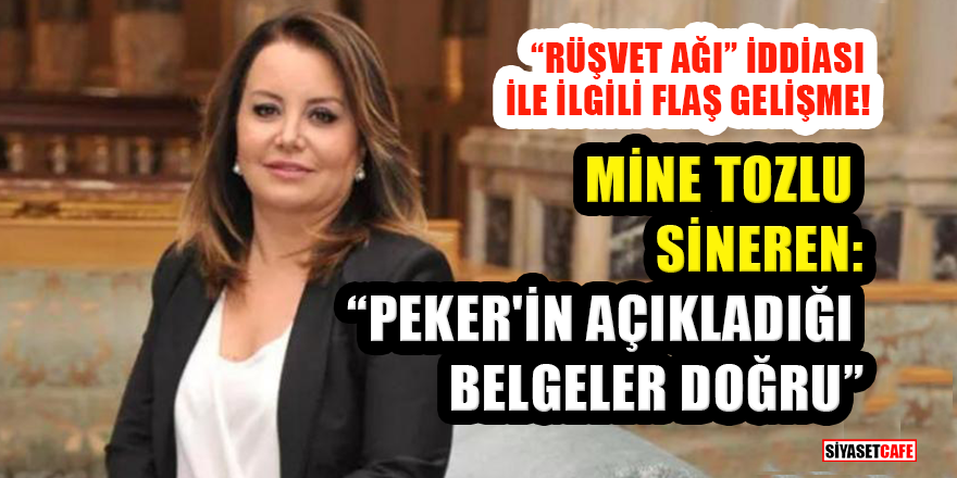 Mine Tozlu Sineren: Peker'in açıkladığı belgeler doğru