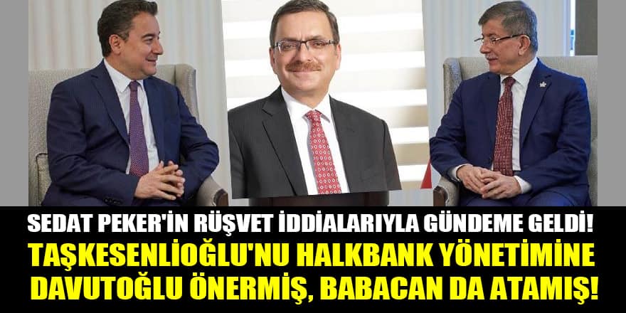 Ali Fuat Taşkesenlioğlu'nu Halkbank yönetimine Davutoğlu önermiş, Babacan da atamış!