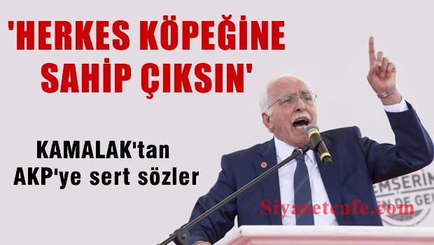 Kamalak: Herkes köpeğine sahip çıksın