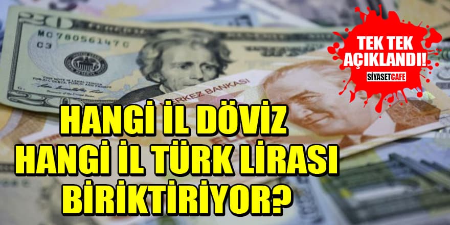 Hangi il döviz hangi il Türk Lirası biriktiriyor?