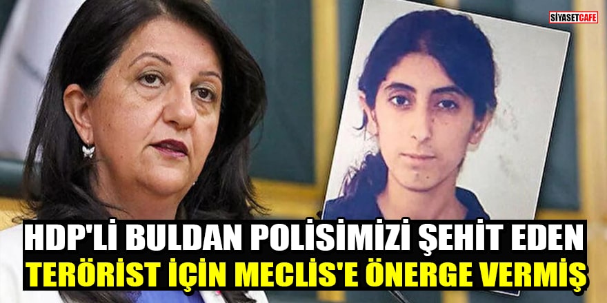 HDP'li Buldan, polisimizi şehit eden terörist Dilşah Ercan için Meclis'e önerge vermiş