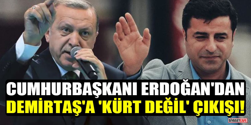 Cumhurbaşkanı Erdoğan'dan Demirtaş'a 'Kürt değil' çıkışı!