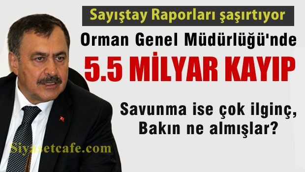 Orman Genel Müdürülüğü'nde 5,5 mİlyar lira açık