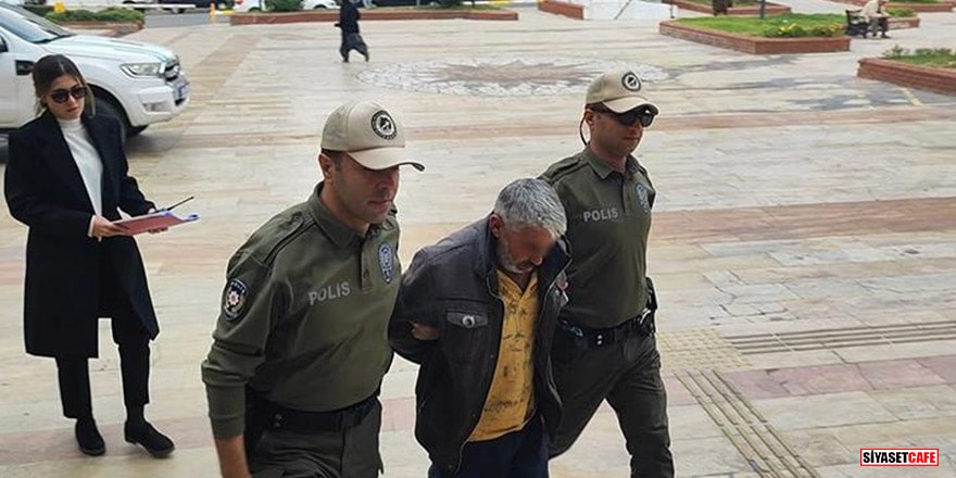 Aydın'da köpeğe tecavüz eden sapık cezaevine gönderildi